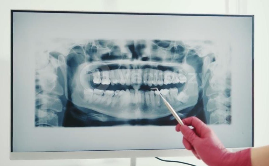 WhatsApp-Image-2025-11-01-at-16.45.22_96424d6a